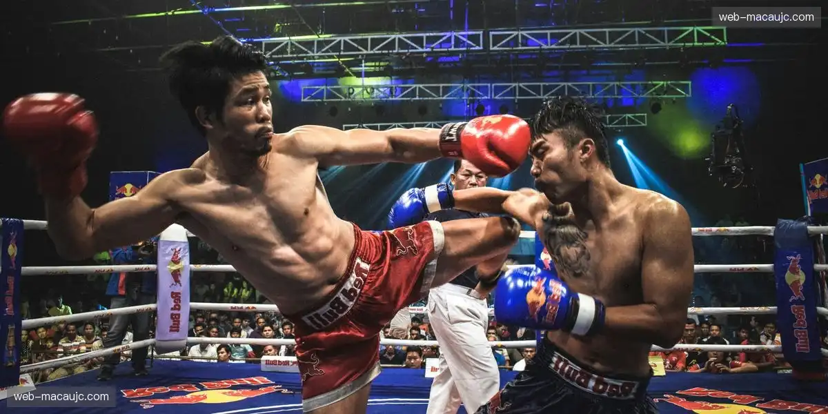 数据驱动策略 强化品牌曝光